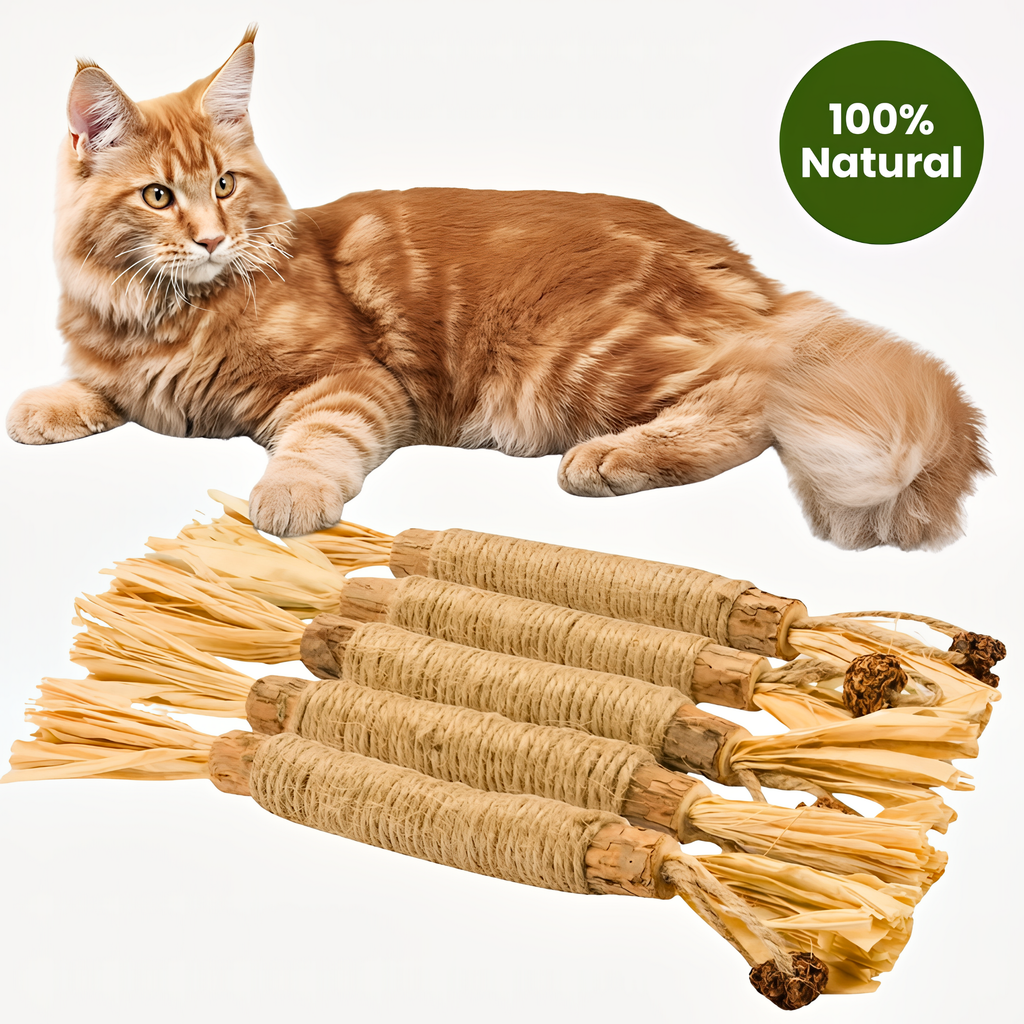 🔥50% OFF Last Day Sale Purriq Natural Silvervine Dental Sticks