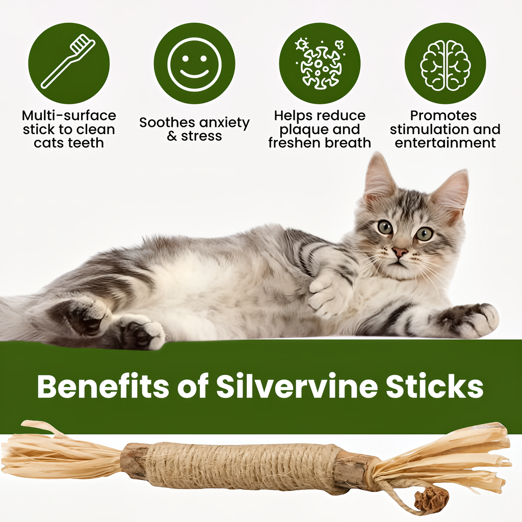 🔥50% OFF Last Day Sale Purriq Natural Silvervine Dental Sticks