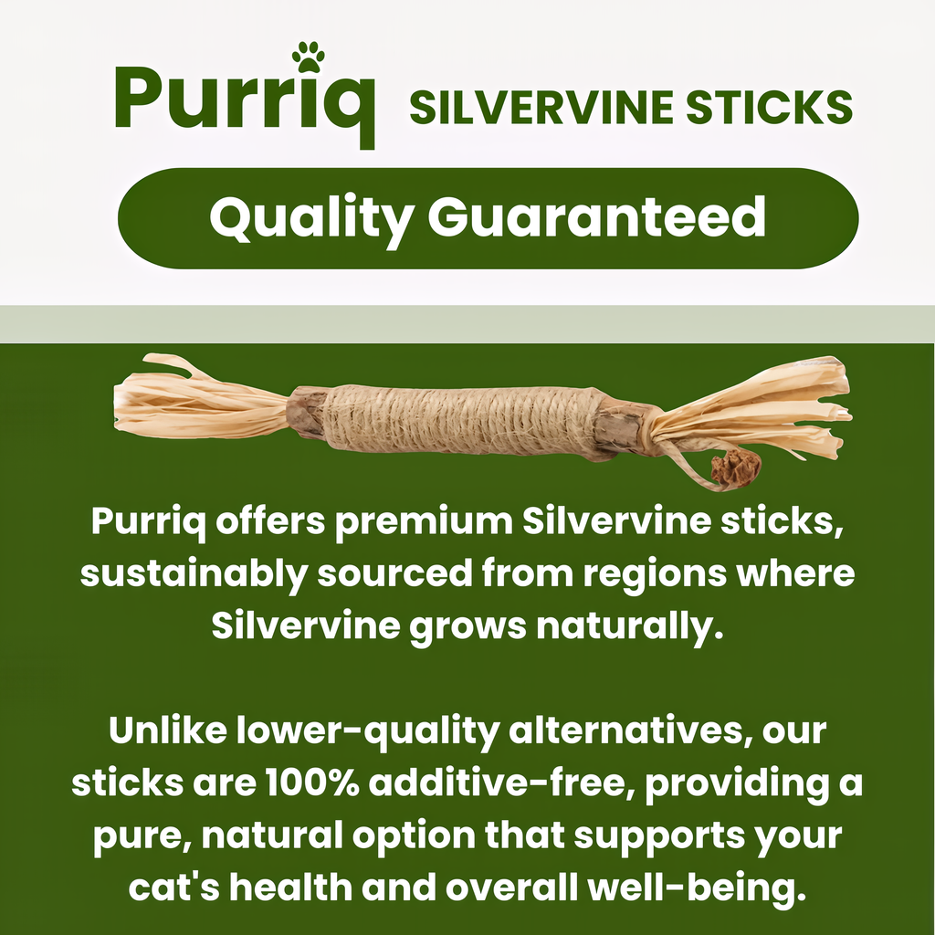 🔥50% OFF Last Day Sale Purriq Natural Silvervine Dental Sticks