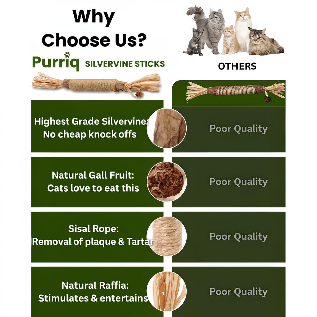 🔥50% OFF Last Day Sale Purriq Natural Silvervine Dental Sticks