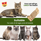 🔥50% OFF Last Day Sale Purriq Natural Silvervine Dental Sticks