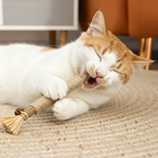 🔥50% OFF Last Day Sale Purriq Natural Silvervine Dental Sticks
