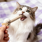 🔥50% OFF Last Day Sale Purriq Natural Silvervine Dental Sticks
